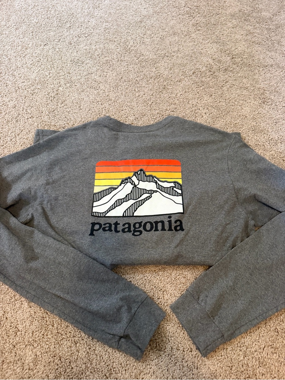 Patagonia Men's Gray Graphic long sleeve